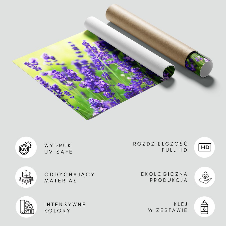 Fototapeta - lawenda, kwiaty, fioletowy