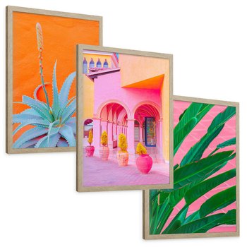 Zestaw obrazy w ramie, plakaty - rośliny, architektura, tropikalne - rama drewno