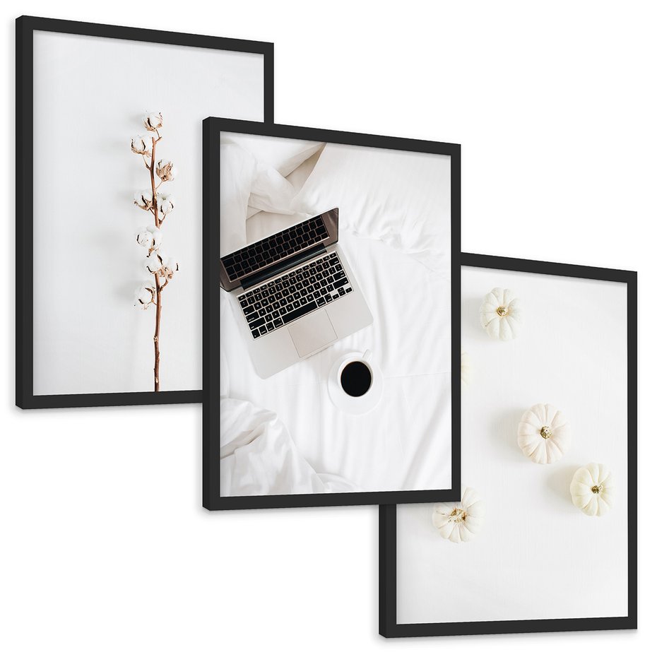Zestaw obrazy w ramie, plakaty - bawełna,dynie,laptop - rama czarna