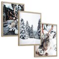 Zestaw obrazy w ramie, plakaty - renifer, zima, śnieg - rama drewno