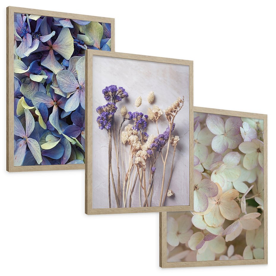 Zestaw obrazy w ramie, plakaty - kwiaty, hortensje, suszone kwiaty - rama drewno
