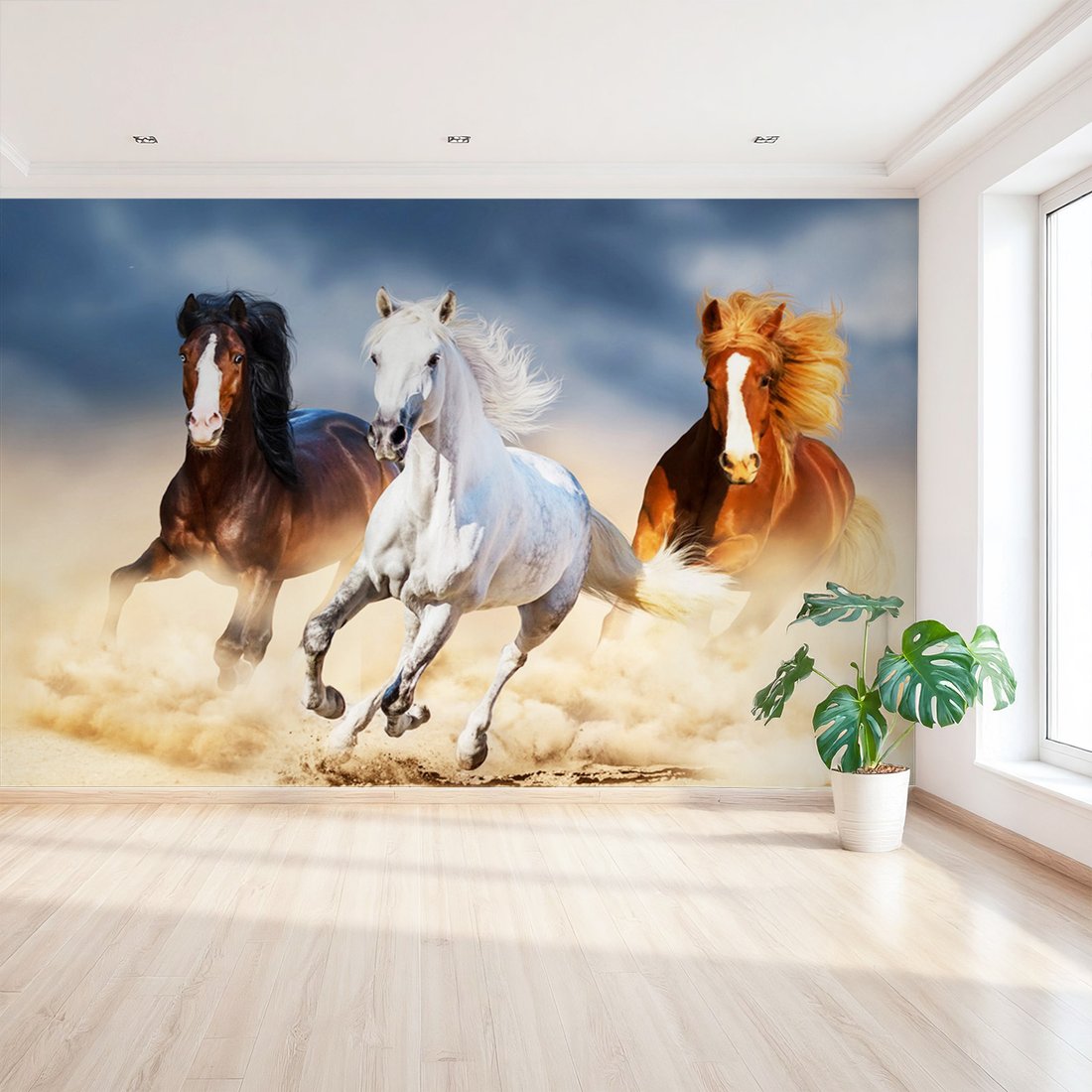 Fototapeta - konie, galop, pustynia