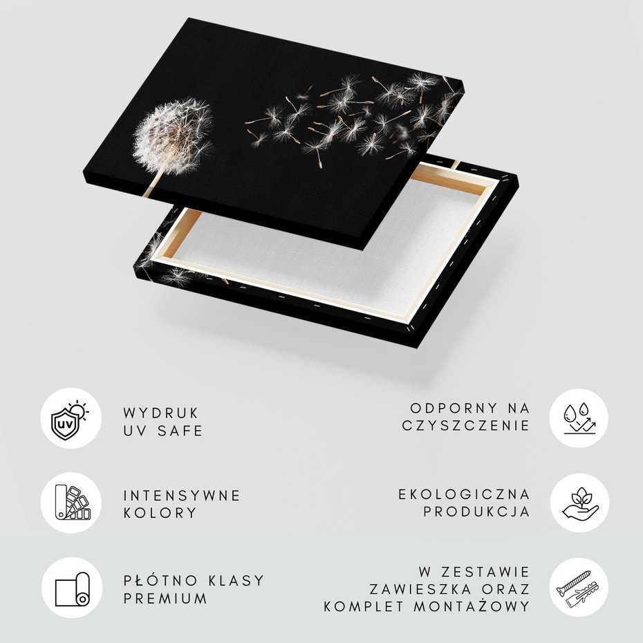 Obraz na płótnie - Dmuchawiec, Nasiona, Delikatność