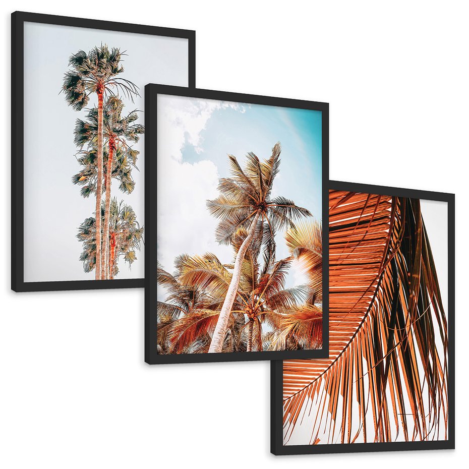 Zestaw obrazy w ramie, plakaty - palmy, tropikalny, lato - rama czarna