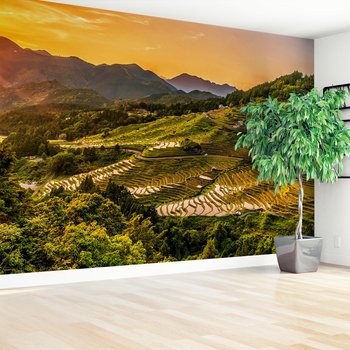 Fototapeta - tarasy ryżowe, góry, krajobraz