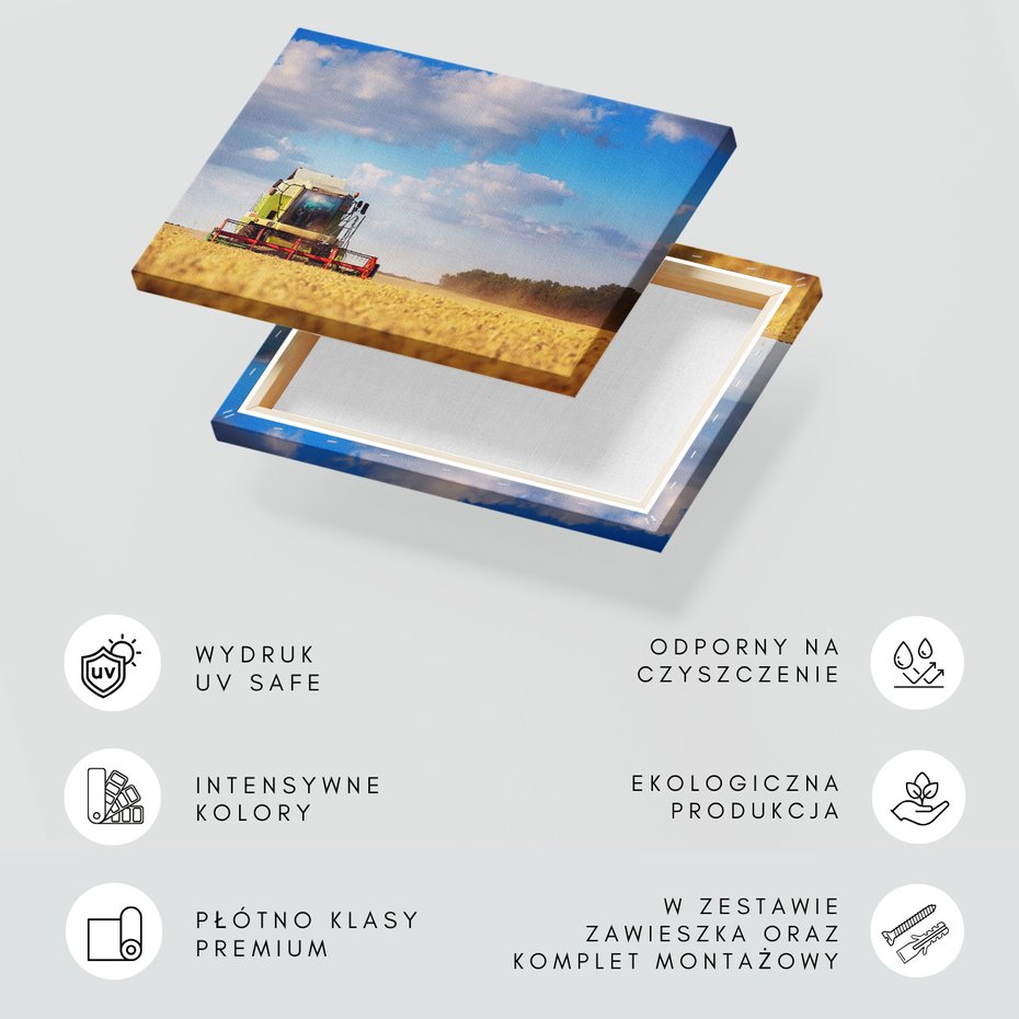 Obraz na płótnie - Kombajn, Pole, Niebo