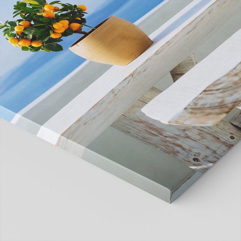 Obraz na płótnie - roślina, morze, niebo