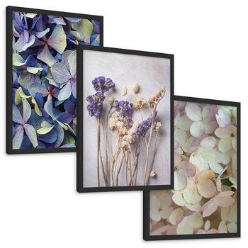 Zestaw obrazy w ramie, plakaty - kwiaty, hortensje, suszone kwiaty - rama czarna