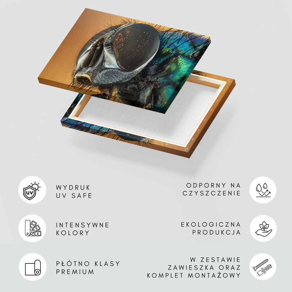 Obraz na płótnie - owad, mucha, makro