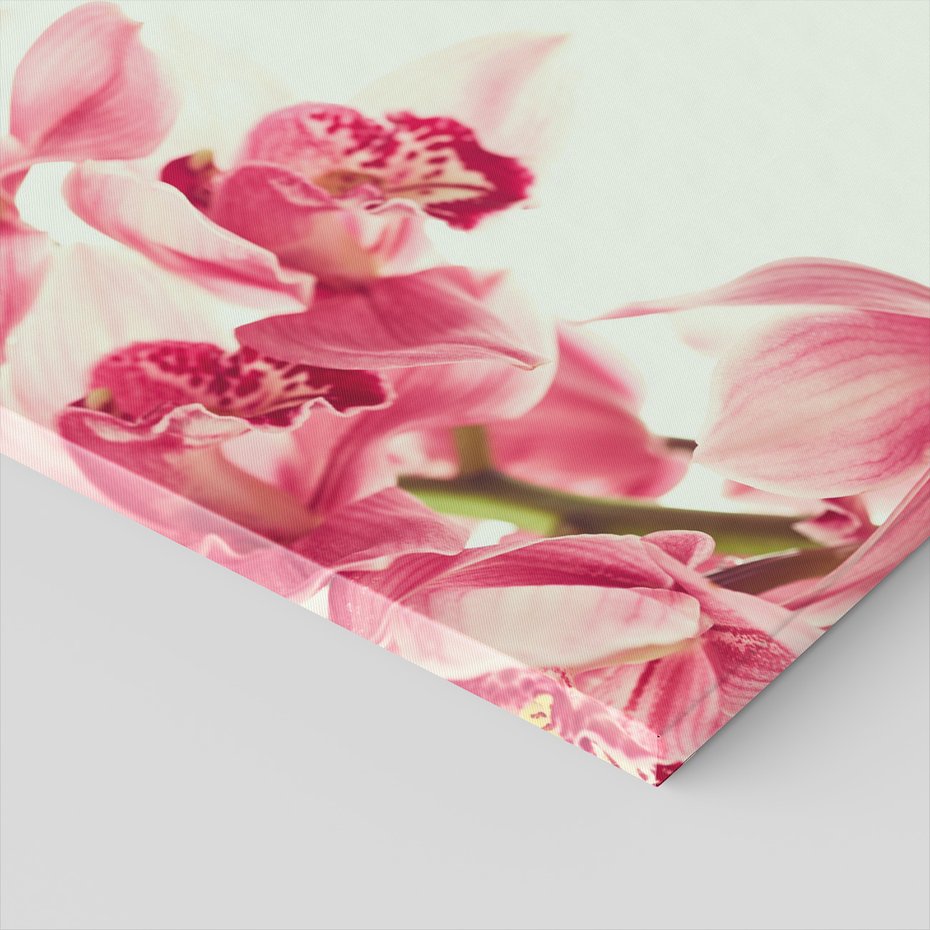 Obraz na płótnie - kwiaty, różowy, orchidee