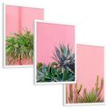 Zestaw obrazy w ramie, plakaty - rośliny, kaktusy, różowy - rama biała
