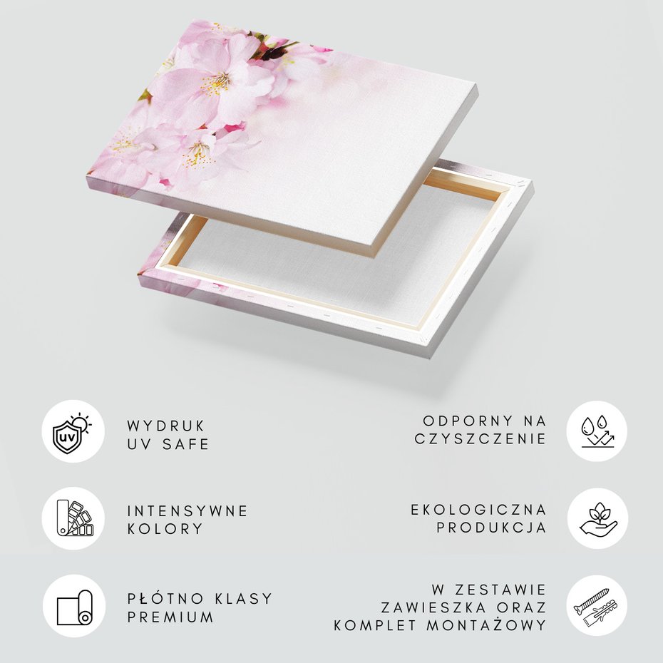 Obraz na płótnie - kwiaty, różowe, delikatne