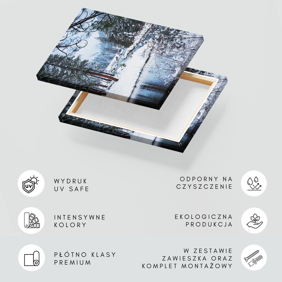 Obraz na płótnie - zima, śnieg, las