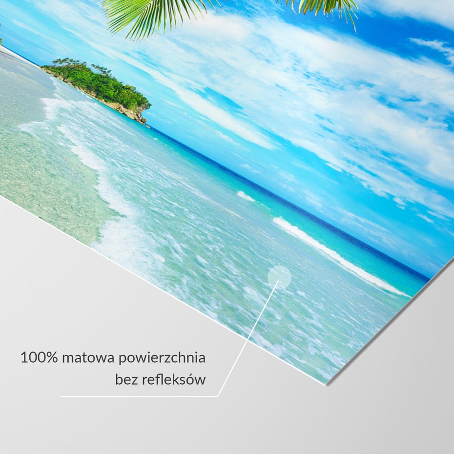 Fototapeta - plaża, morze, palmy