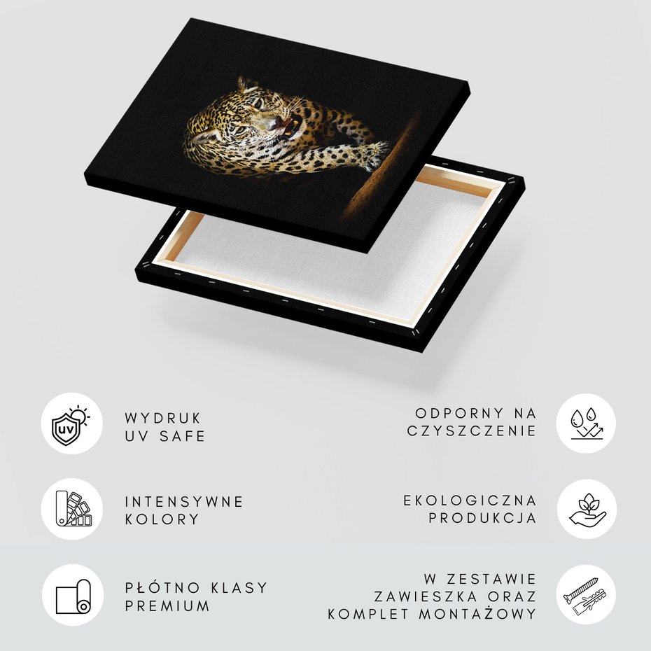 Obraz na płótnie - jaguar, zwierzę, drapieżnik