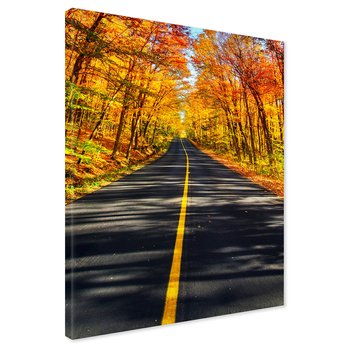 Obraz na płótnie - jesień, droga, las