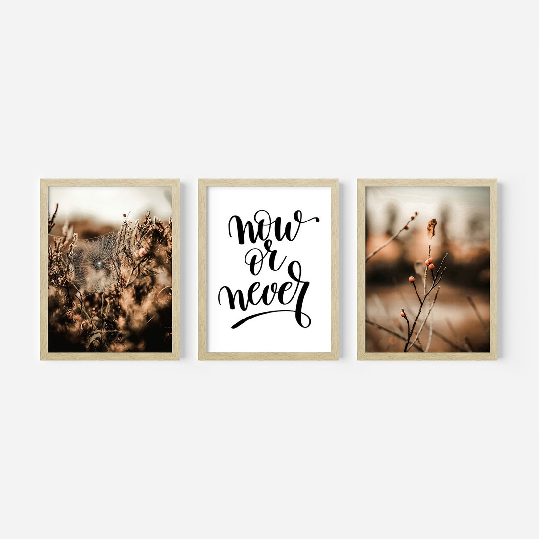 Zestaw obrazy w ramie, plakaty - przyroda, pajęczyna, owoce - rama drewno