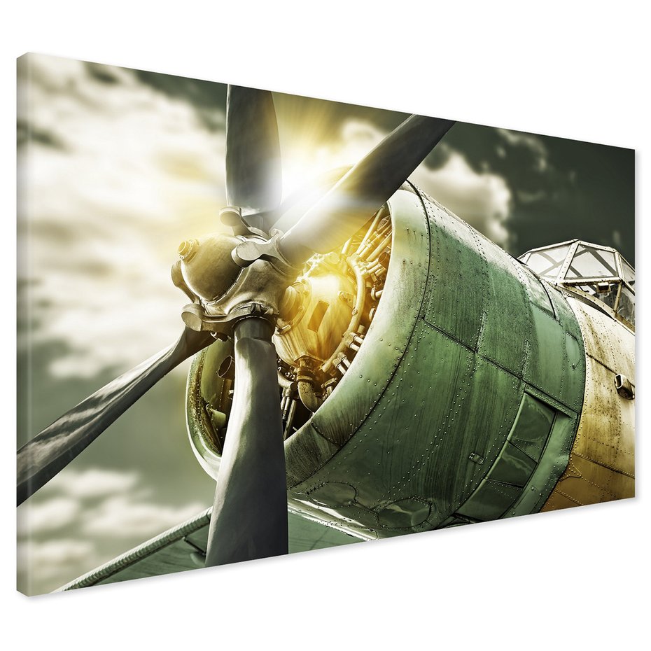 Obraz na płótnie - samolot, silnik, śmigło