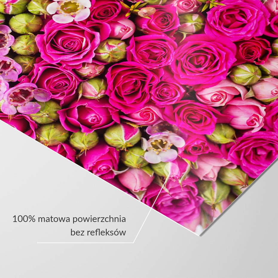 Fototapeta - róże, kwiaty, pąki