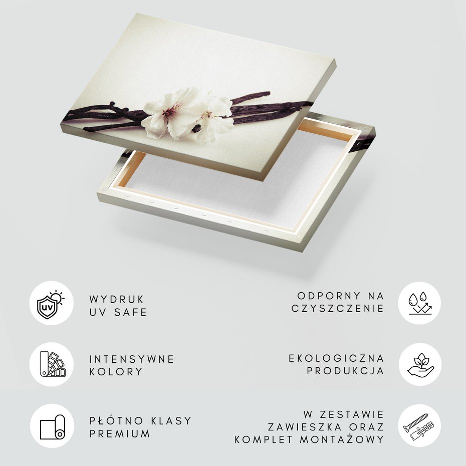 Obraz na płótnie - kwiaty, wanilia, aromat