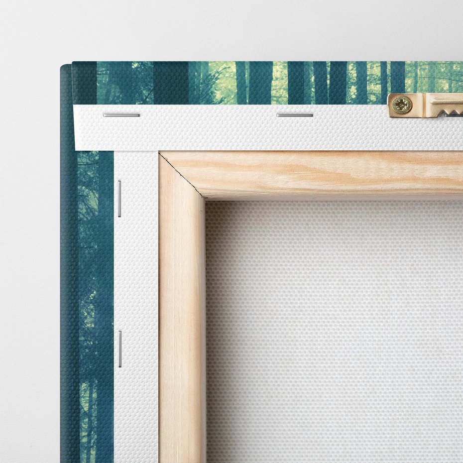 Obraz na płótnie - las, drzewa, mgła