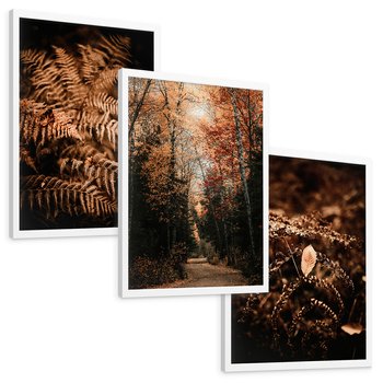 Zestaw obrazy w ramie, plakaty - jesień, liście, brązowy - rama biała