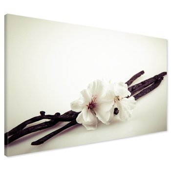 Obraz na płótnie - kwiaty, wanilia, aromat