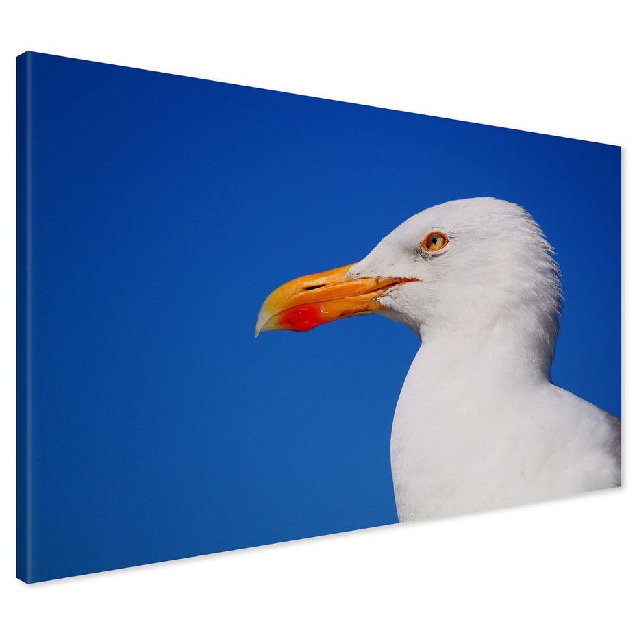 Obraz na płótnie - mewa, ptak, niebo