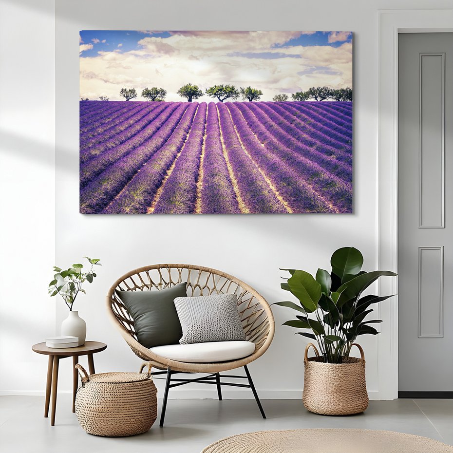 Obraz na płótnie - lawenda, pole, drzewa