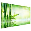 Obraz na płótnie - bambus, woda, liście