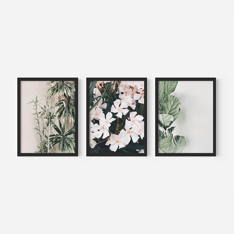 Zestaw obrazy w ramie, plakaty - rośliny, kwiaty, liście - rama czarna