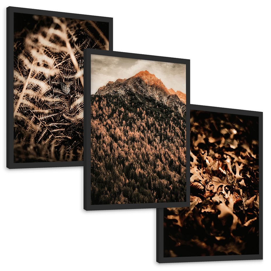 Zestaw obrazy w ramie, plakaty - natura, liście, góry - rama czarna