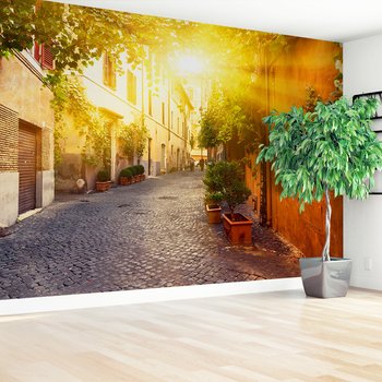 Fototapeta - uliczka, miasto, brukowana,