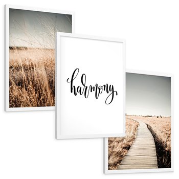 Zestaw obrazy w ramie, plakaty - przyroda, polne, krajobraz - rama biała