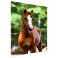 Obraz na płótnie - koń, zwierzę, portret