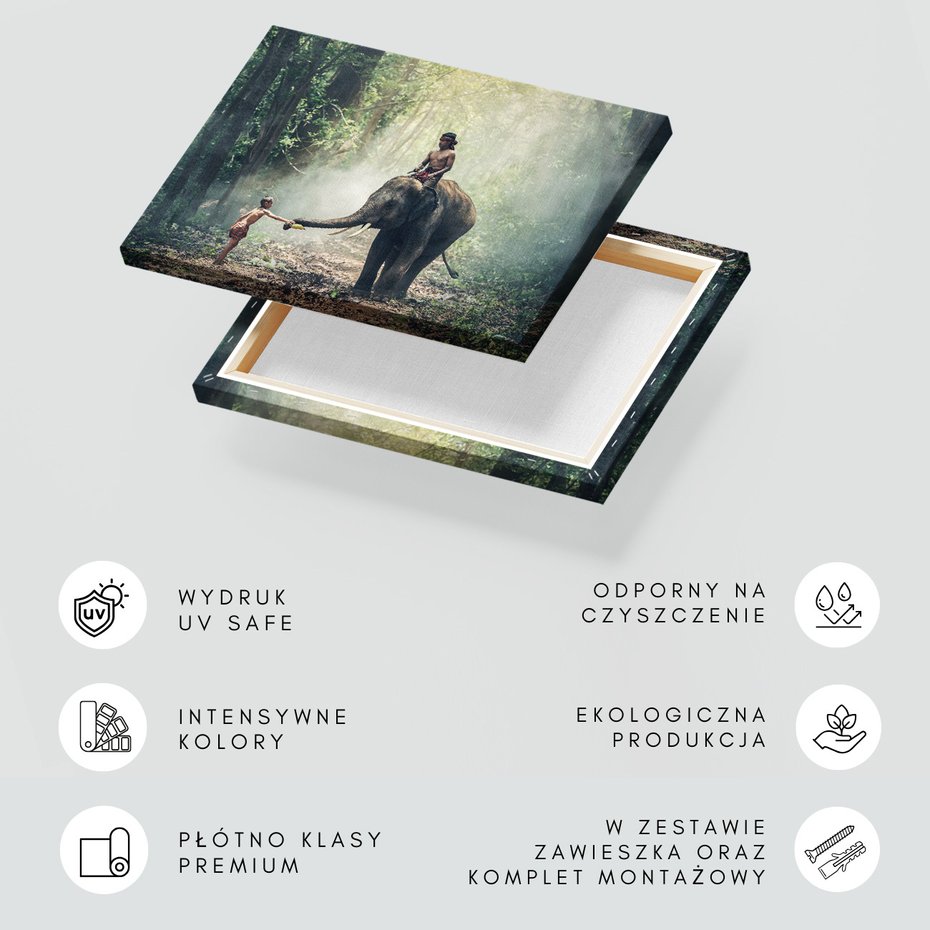 Obraz na płótnie - słoń, chłopiec, las