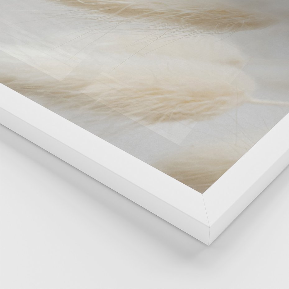 Zestaw obrazy w ramie, plakaty - bawełna, trawa, puszysty - rama biała