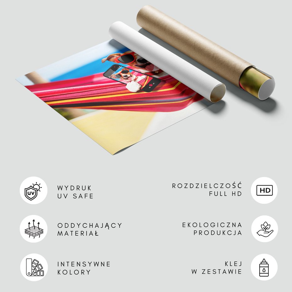 Fototapeta - pies, hamak, okulary