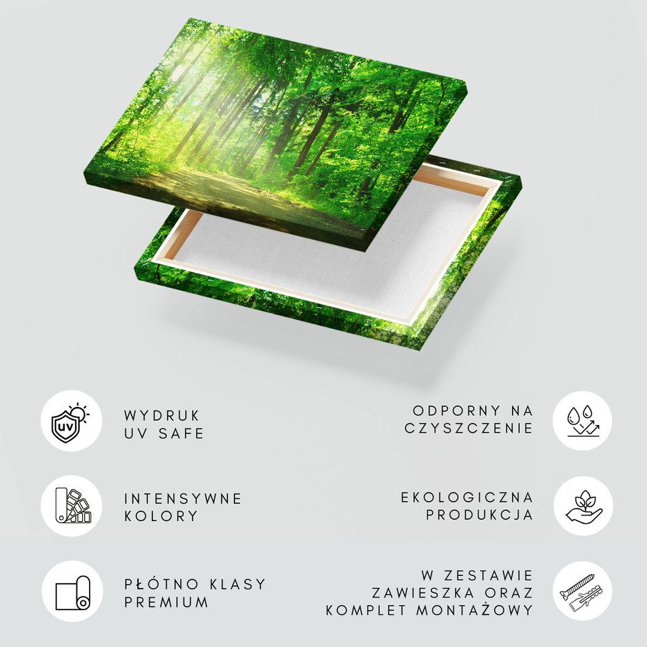 Obraz na płótnie - las, droga, drzewa