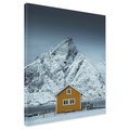 Obraz na płótnie - góry, śnieg, dom