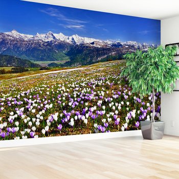 Fototapeta - góry, kwiaty, krajobraz