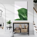 Obraz na płótnie - liść, zieleń, natura