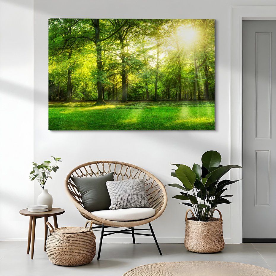 Obraz na płótnie - las, drzewa, natura
