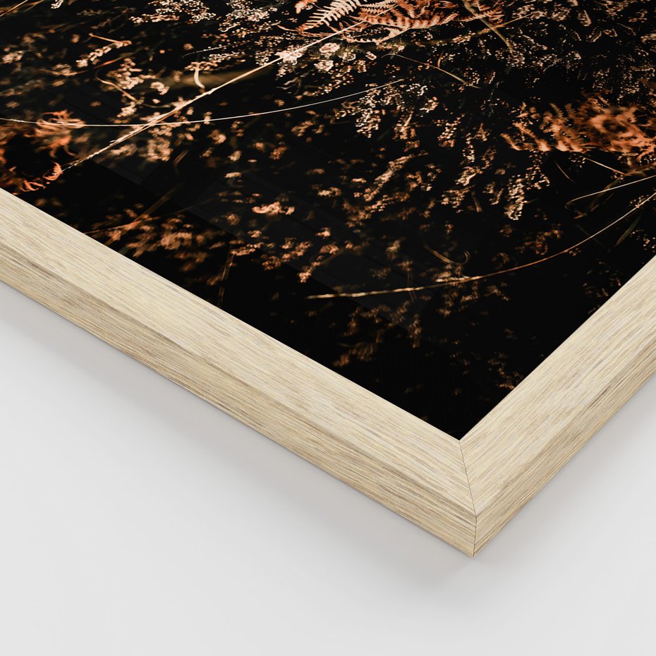 Zestaw obrazy w ramie, plakaty - natura, liście, drzewa - rama drewno