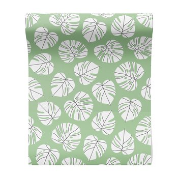 Tapeta - liście, monstera, natura