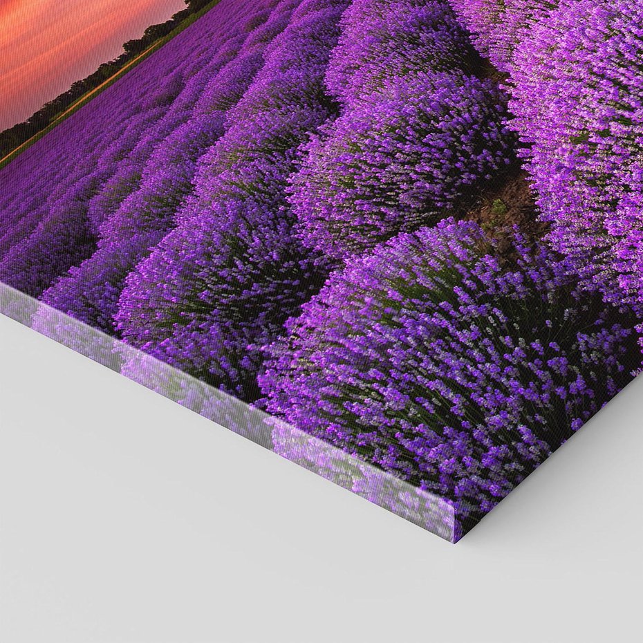 Obraz na płótnie - lawenda, pole, zachód słońca