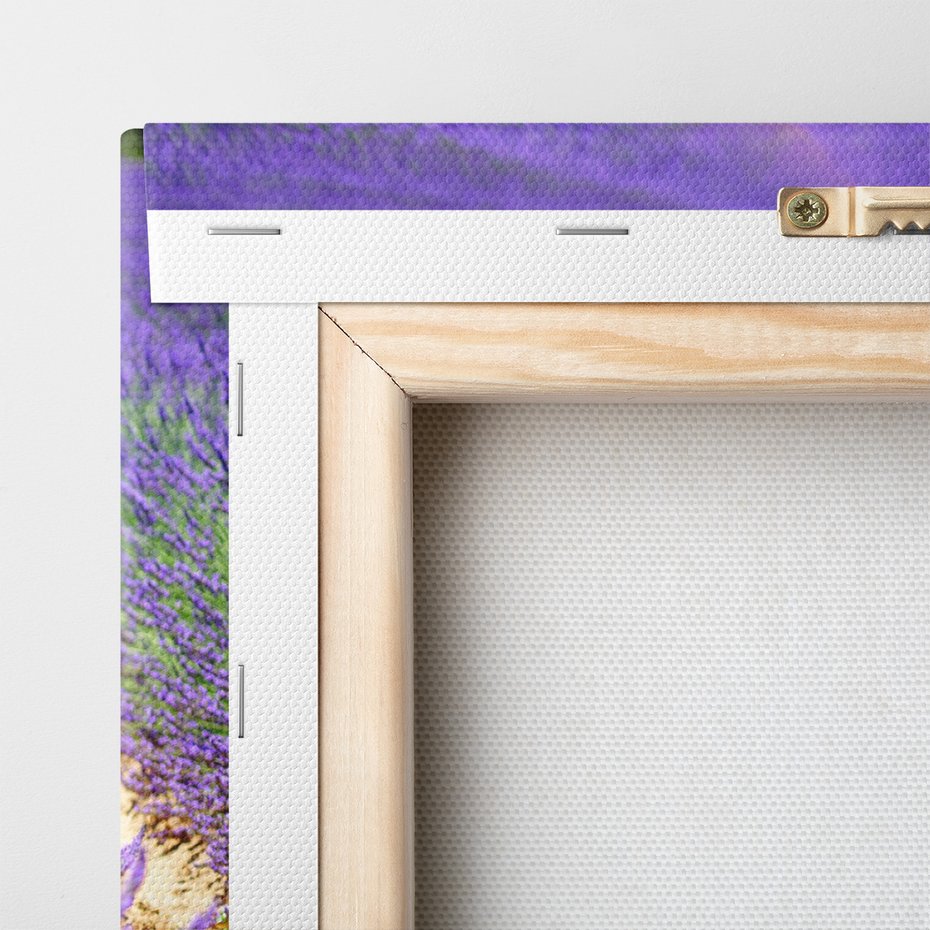 Obraz na płótnie - lawenda, pole, kwiaty