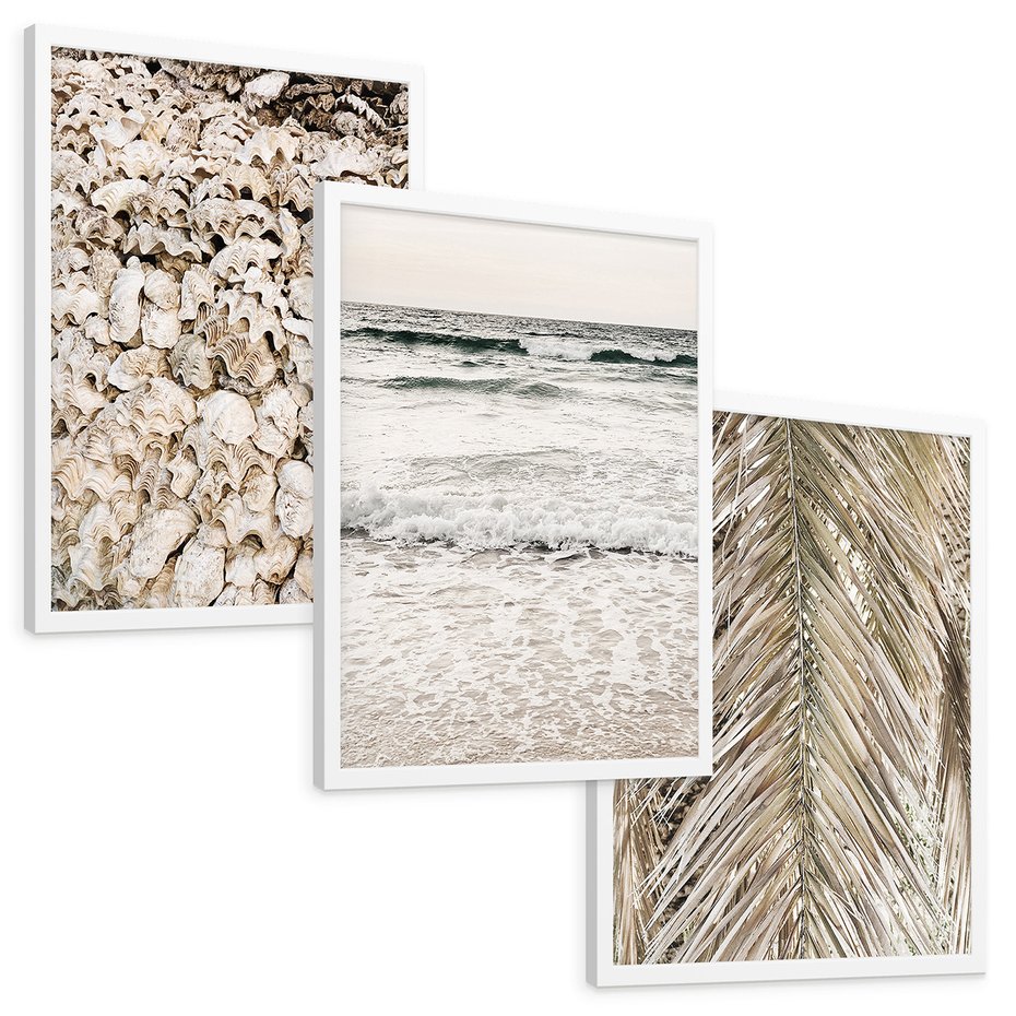 Zestaw obrazy w ramie, plakaty - muszle, morze, liście - rama biała