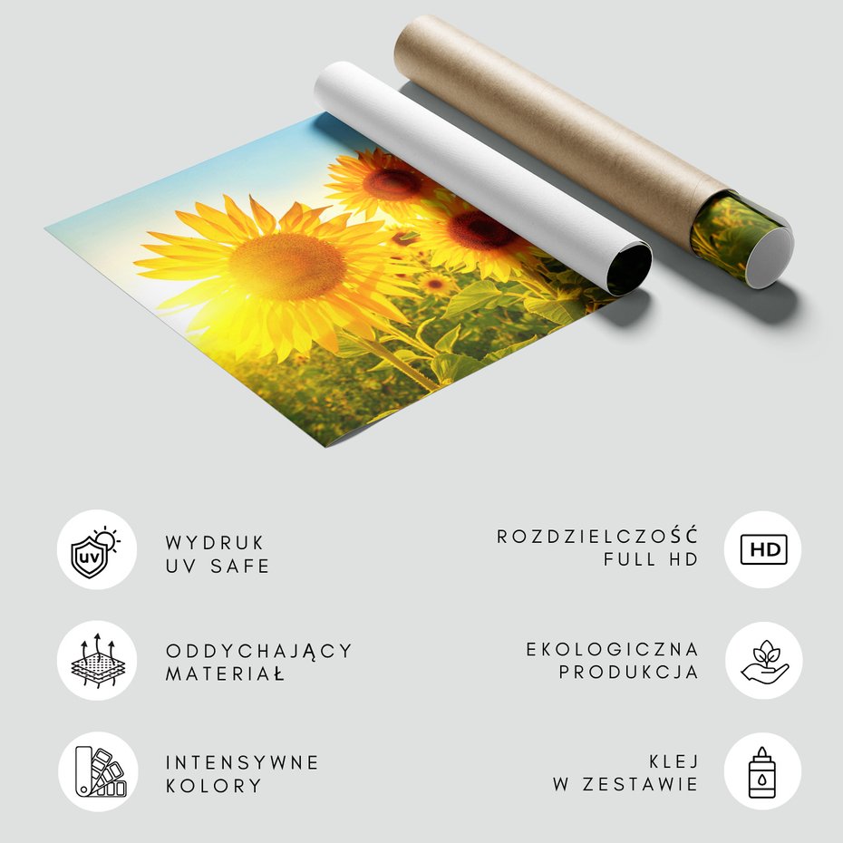 Fototapeta - słoneczniki, lato, słońce