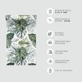 Tapeta - liście, monstera, rośliny